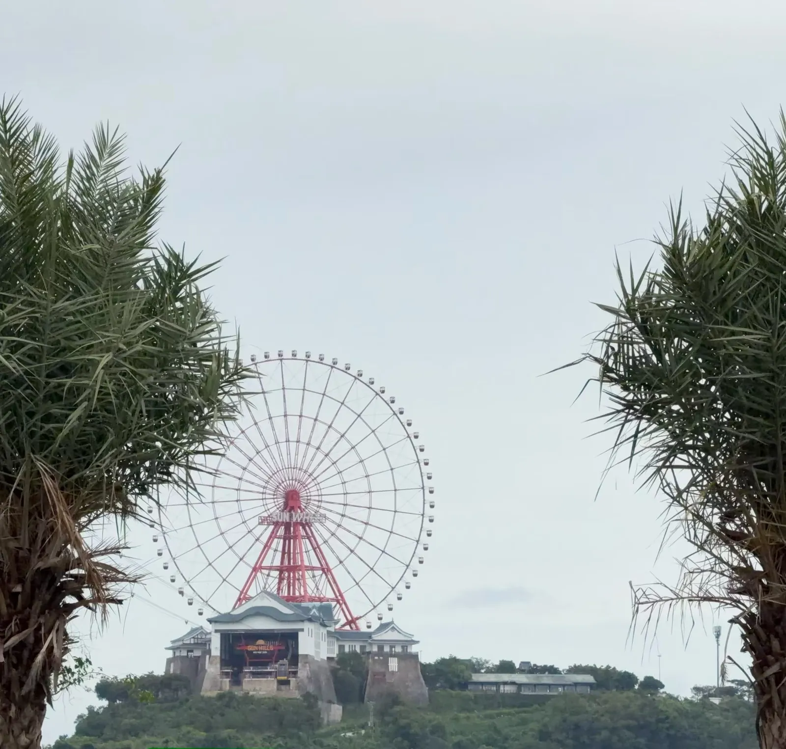 The red Sun World Ferris wheel on a distant hilltop, framed between two palm trees